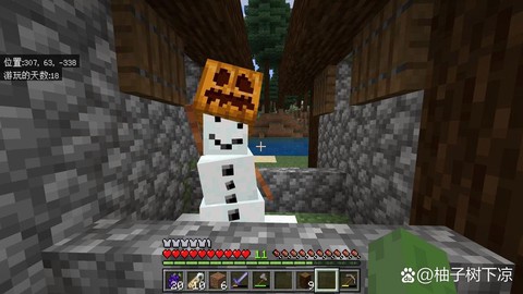 我的世界如何做雪傀儡[图1]