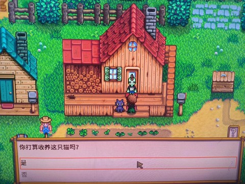 星露谷物语猫吃什么