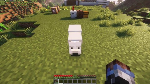 我的世界北极熊怎么驯服视频