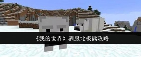 我的世界北极熊怎么驯服视频[图1]