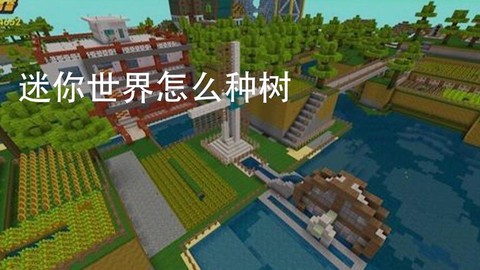 在迷你世界里怎么种树
