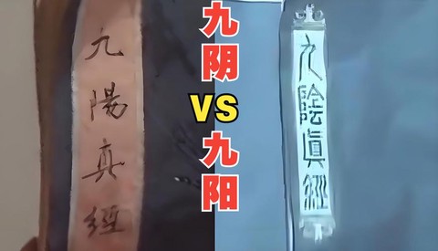 九阴真经历练有什么用